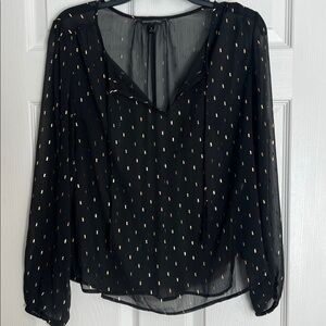 Banana Republic Black Sheer Top
